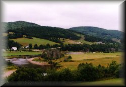 The Scenic Margaree's